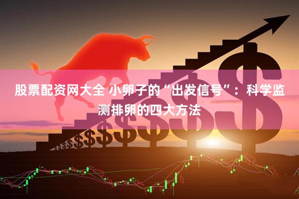 股票配资网大全 小卵子的“出发信号”：科学监测排卵的四大方法