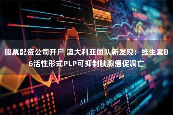 股票配资公司开户 澳大利亚团队新发现：维生素B6活性形式PLP可抑制胰腺癌促凋亡